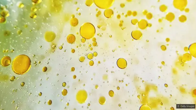 खाने का कौन-सा तेल सबसे सेहतमंद है?