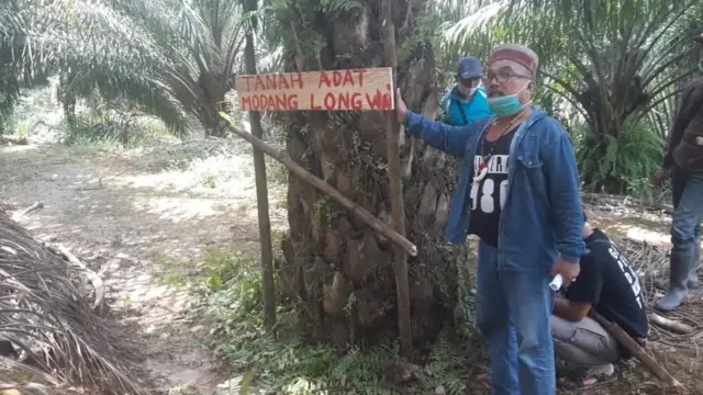 Tanah adat Modang Long Wai ditanami pohon kelapa sawit, dayak