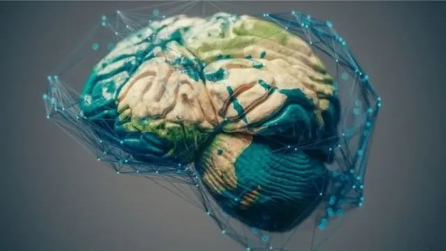 મગજની તસવીર