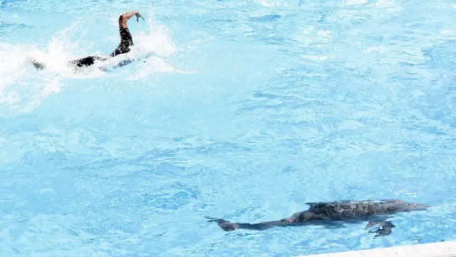 Филиппо Маньини плыве наперегонки с дельфинами