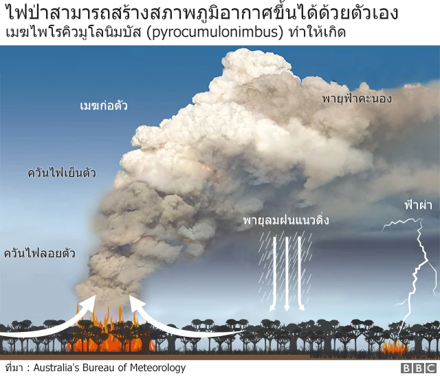ไฟป่าออสเตรเลีย