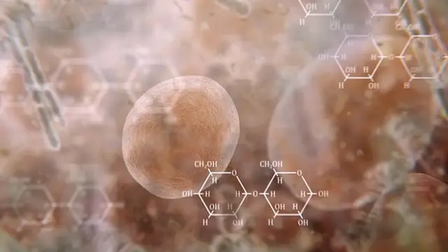 Ilustración de lo que pasa químicamente