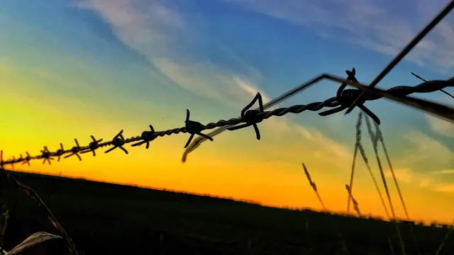 Fotocomo iniciar nas apostas esportivasarame farpado ao entardecer