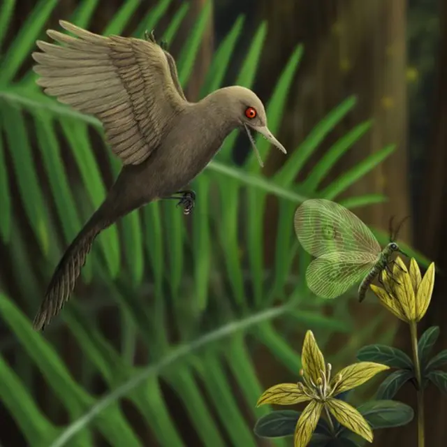 Una ilustración del Oculudentavis khaungraae