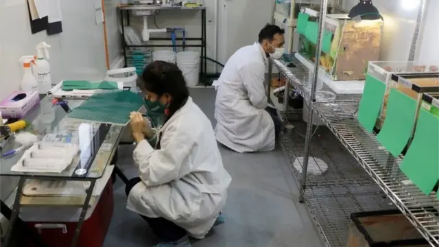 Cientistas trabalham dentro de laboratório em Santiago