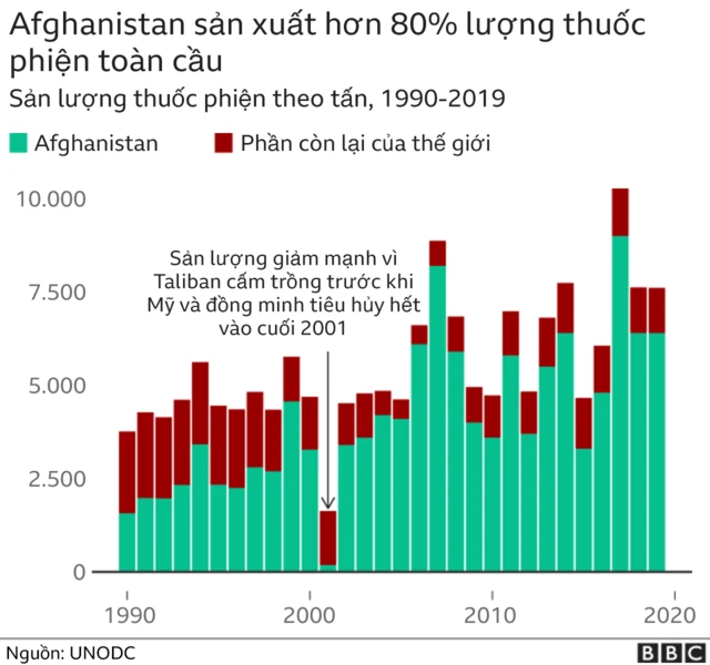Afghan opium production