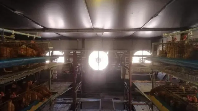 ကြက်ခြံကြီးတွေလည်းကိုက်လို့မဟုတ်ဘူး၊ ခြံတည်မြဲအောင်လုပ်နေရတာ