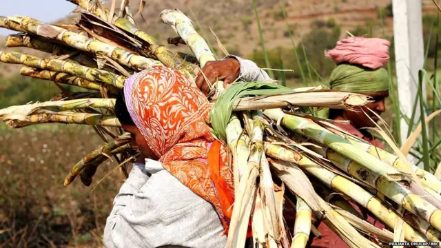 उसाची वर्णव्यवस्था कुणी ठरवली?