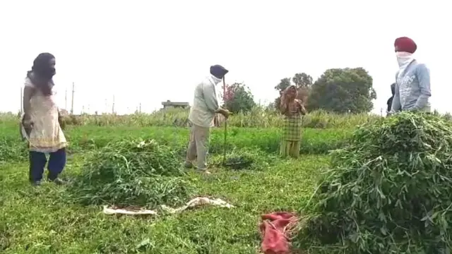 ਪਰਵਾਸੀ ਮਜ਼ਦੂਰ ਦਾ ਪਲਾਇਨ