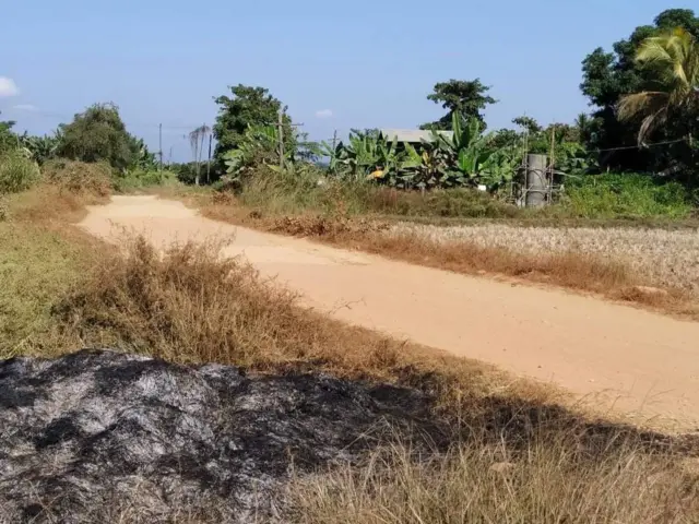မီးရှို့ ခံရ