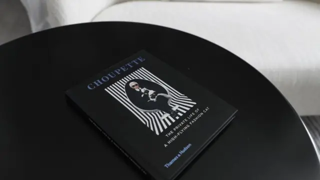 Шупетт, Лагерфельд