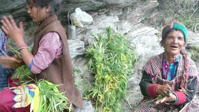 Malana
