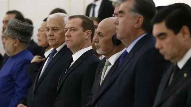 Дафн маросими