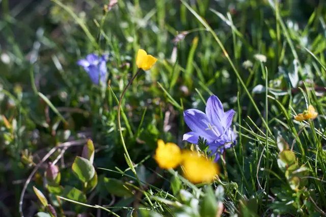 Эльбрус: акклиматизация