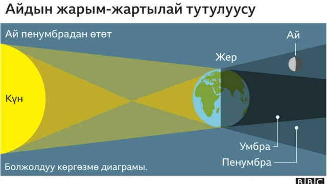 Айдын жарым-жартылай тутулуусу