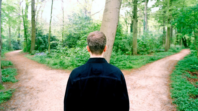 Homemcassino enjoyfrente para dois caminhos distintos