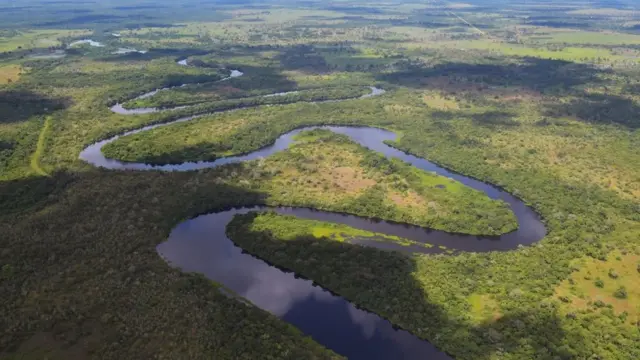 Pantanal