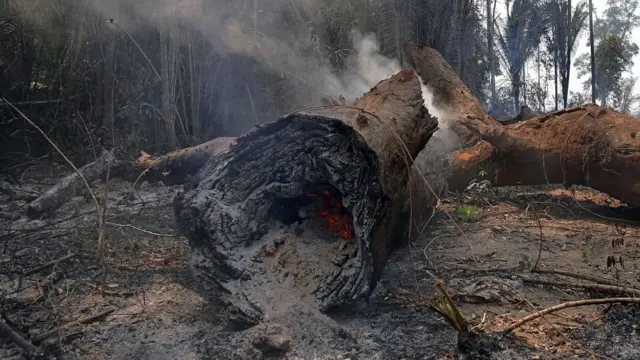 Queimada na Amazônia