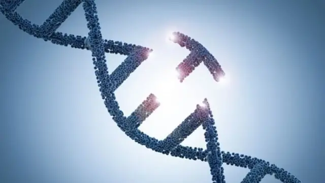 ДНКдагы өзгөртүүлөр анын укум-тукумуна да кетиши мүмкүн