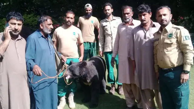 وائلڈ لائف اہلکار