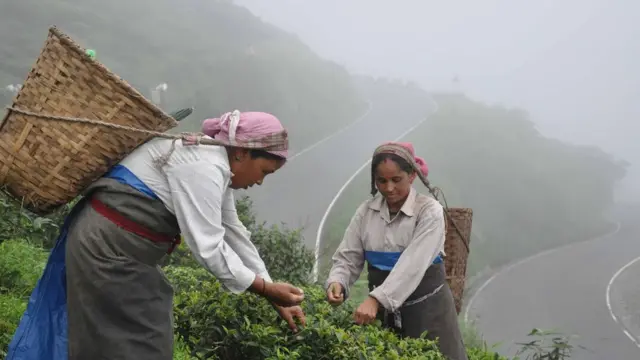 दार्जिलिंग