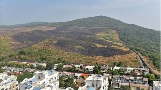 आरे कॉलनी