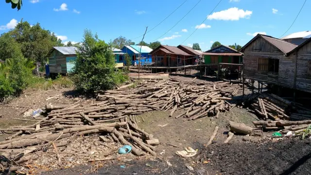 Di pinggir sungai yang mengering, puluhan batang kayu bakau tergeletak berantakan di antara deretan rumah panggung warga Batu Ampar.