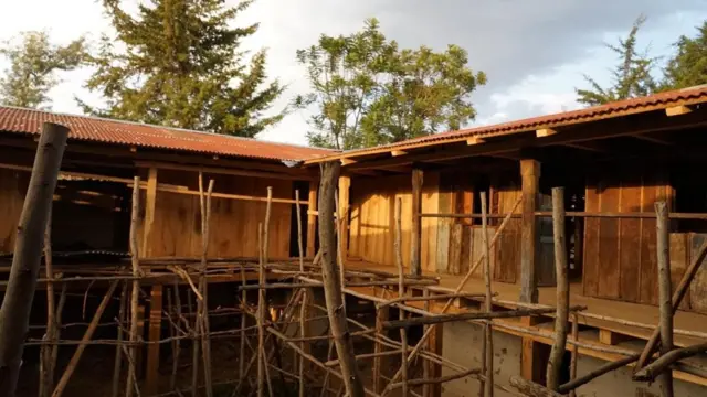 Haaromsa Masaraa Abbaa Jifaar