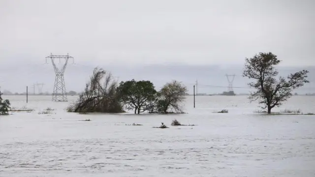 इडाई समुद्री आँधी