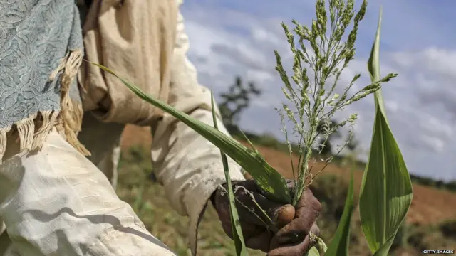 दिवाळीपुर्वी कर्जमाफी मिळेल का?