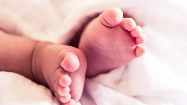 கொரோனா வைரஸ்