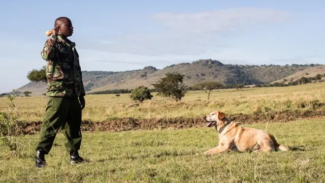 訓犬師安東尼·康格澤