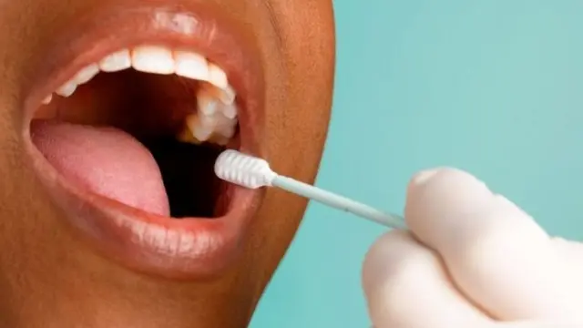 பலதார திருமணம்