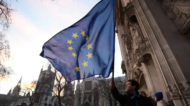 Bir gösterici, Yüksek Mahkeme'nin önünde İngiltere'nin Avrupa Birliği'nden çıkışını protesto ediyor.