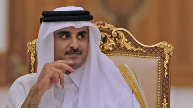 কাতারের আমীর কি ডকুমেন্টারিটি দেখানো হবে না বলে কোন আশ্বাস দিয়েছেন?