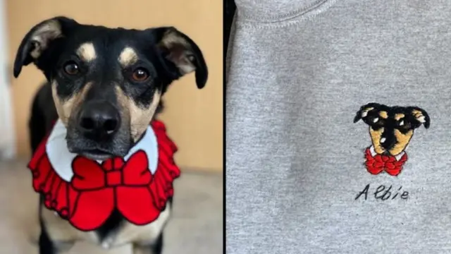 سرعان ما صنعت فيبي المزيد من صور الكلاب المطرزة