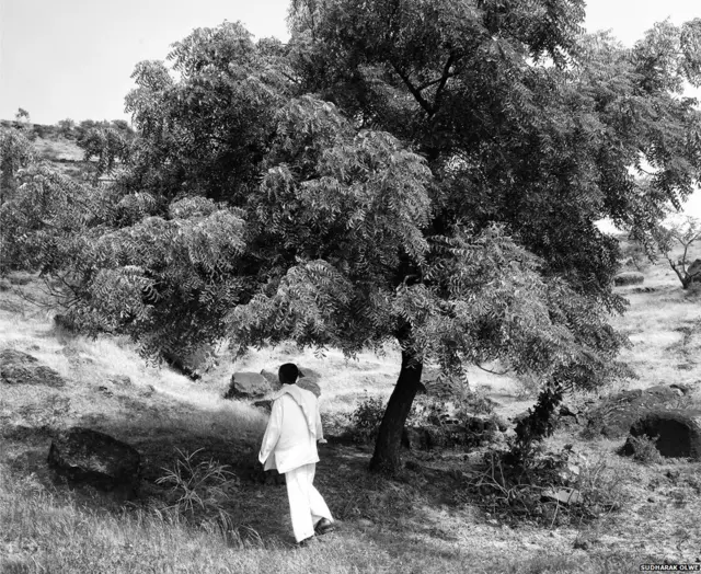 याच लिंबाच्या झाडाला नितीनचा मृतदेह अर्धवट लटकलेला अवस्थेत मिळाला.