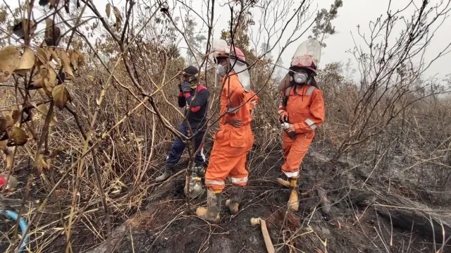 Pemadaman lahan gambut yang terbakar