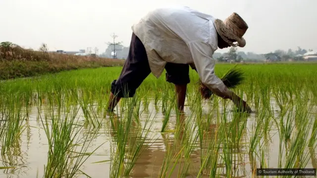 థాయ్‌లాండ్