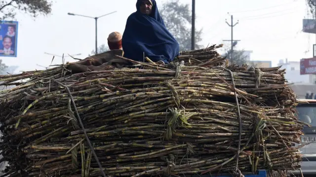 ਗੰਨਾ ਕਿਸਾਨ