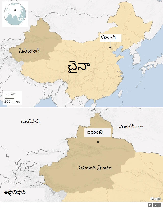 వీగర్లు