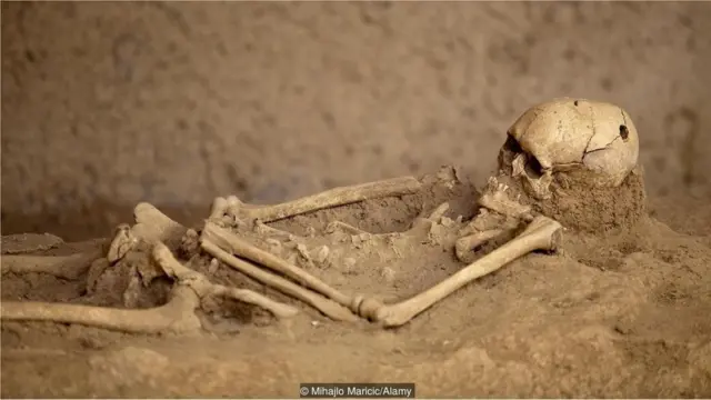 માનવકંકાળની તસવીર