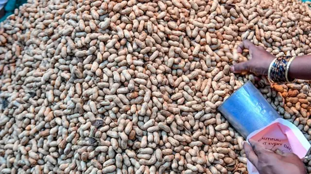 تېرکال د لندن د کېنګز کالج ساینسپوهانو ویلي وو چې د خولې له لاري ایمیون درملنه ناروغ ساتي، خو رغوي یې نه