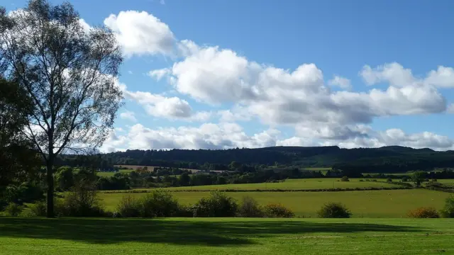 Поле битвы при Баннокберне.