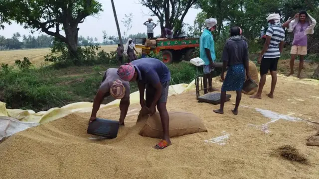 నెలలపాటు కల్లంలోనే ధాన్యం ఉంచాల్సి వస్తోందని, కొనేవారు లేరని, మిల్లర్ల దగ్గరకు వెళితే తక్కువ ధర లభిస్తోందని రైతులు అంటున్నారు.