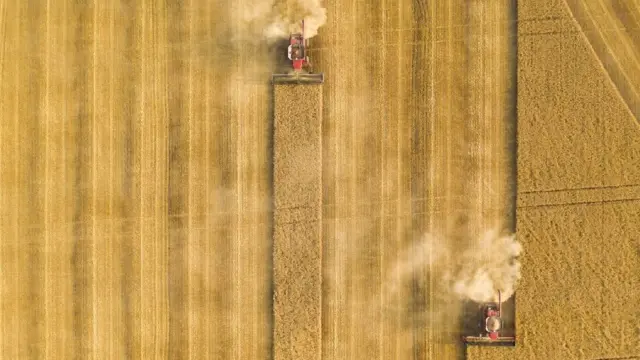 காற்றிலிருந்து கரியமில வாயும் நீக்கம்: நம் உணவு தட்டில் எப்படி தாக்கம் செலுத்தும் தெரியுமா?