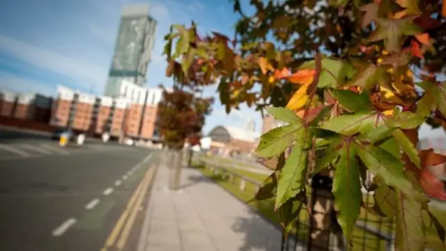 ต้นไม้ในเมือง