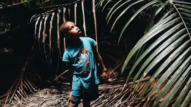 Papua, pembakaran hutan, Korindo, Korea Selatan, petrus kinggo