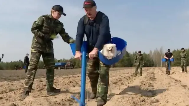 Лукашенко на суботнику