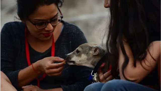 Onlayn frottage porno